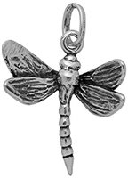 Charm Giovanni Raspini Charms in Argento 06443 - 06443